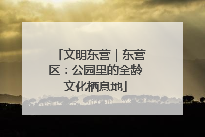 文明东营｜东营区：公园里的全龄文化栖息地
