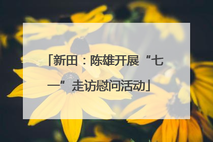 新田：陈雄开展“七一”走访慰问活动