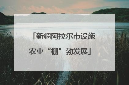 新疆阿拉尔市设施农业“棚”勃发展