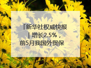 新华社权威快报｜增长2.5%，前5月我国外贸保持较强韧性