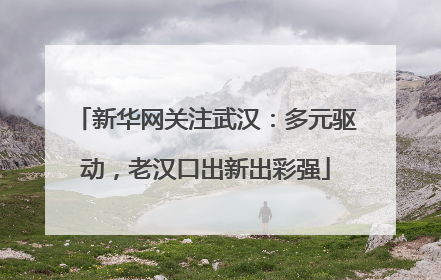 新华网关注武汉：多元驱动，老汉口出新出彩强