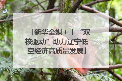 新华全媒＋丨“双核驱动”助力辽宁低空经济高质量发展