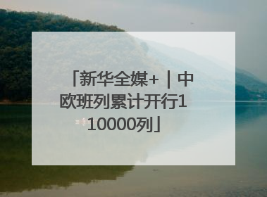 新华全媒+｜中欧班列累计开行110000列