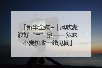 新华全媒+｜风吹麦浪好“丰”景——多地小麦机收一线见闻