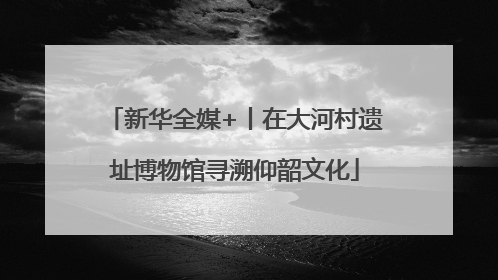 新华全媒+丨在大河村遗址博物馆寻溯仰韶文化