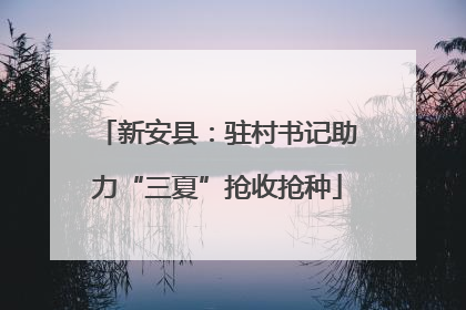 新安县：驻村书记助力“三夏”抢收抢种