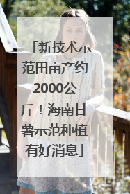 新技术示范田亩产约2000公斤！海南甘薯示范种植有好消息