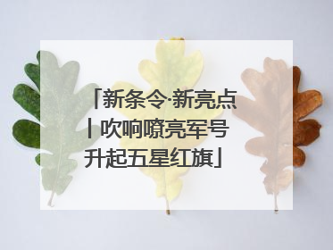 新条令·新亮点丨吹响嘹亮军号 升起五星红旗