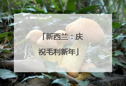 新西兰：庆祝毛利新年
