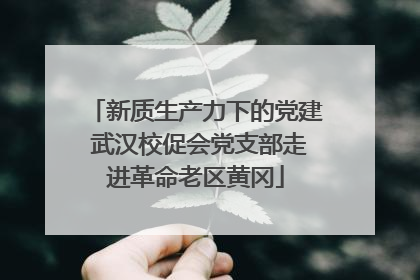 新质生产力下的党建 武汉校促会党支部走进革命老区黄冈