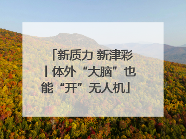 新质力 新津彩丨体外“大脑”也能“开”无人机