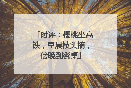 时评：樱桃坐高铁，早晨枝头摘，傍晚到餐桌