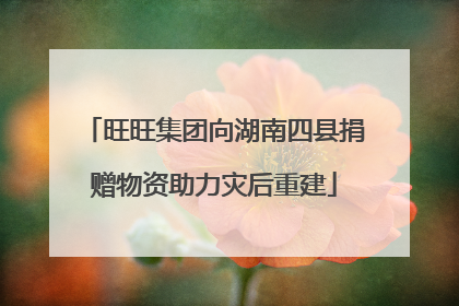 旺旺集团向湖南四县捐赠物资助力灾后重建
