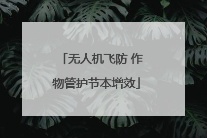 无人机飞防 作物管护节本增效