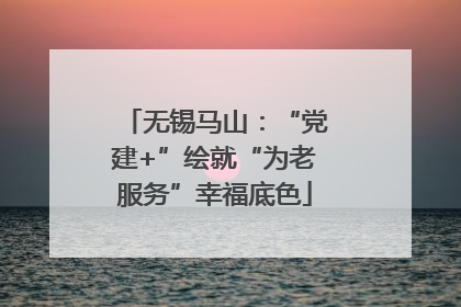 无锡马山：“党建+”绘就“为老服务”幸福底色