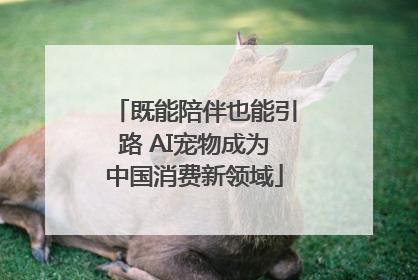 既能陪伴也能引路 AI宠物成为中国消费新领域