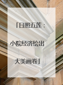 日照五莲：小院经济绘出大美画卷