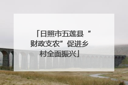 日照市五莲县“财政支农”促进乡村全面振兴