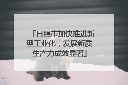 日照市加快推进新型工业化，发展新质生产力成效显著