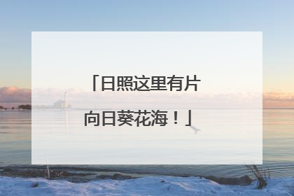 日照这里有片向日葵花海！