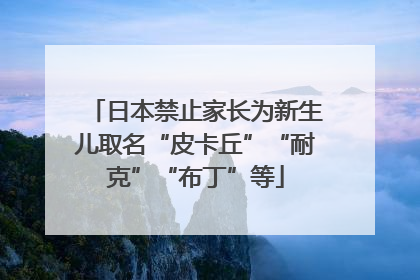 日本禁止家长为新生儿取名“皮卡丘”“耐克”“布丁”等