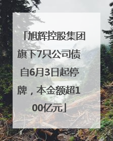 旭辉控股集团旗下7只公司债自6月3日起停牌，本金额超100亿元