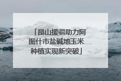 昆山援疆助力阿图什市盐碱地玉米种植实现新突破