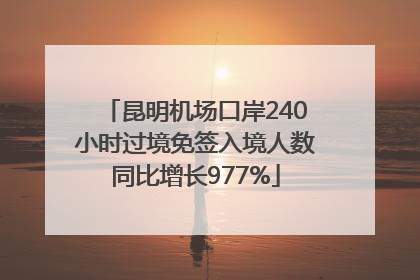昆明机场口岸240小时过境免签入境人数同比增长977%