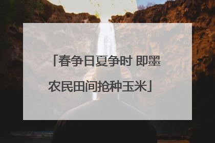 春争日夏争时 即墨农民田间抢种玉米