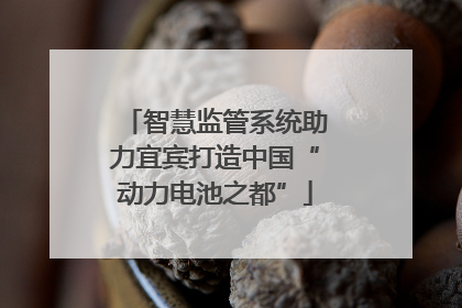 智慧监管系统助力宜宾打造中国“动力电池之都”