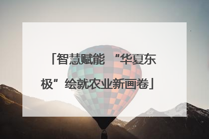 智慧赋能 “华夏东极”绘就农业新画卷