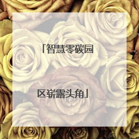 智慧零碳园区崭露头角