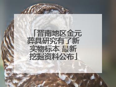 晋南地区金元葬具研究有了新实物标本 最新挖掘资料公布