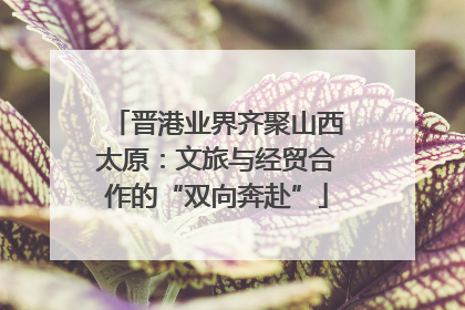 晋港业界齐聚山西太原：文旅与经贸合作的“双向奔赴”