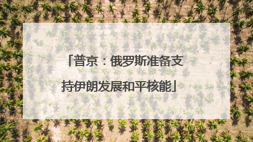 普京：俄罗斯准备支持伊朗发展和平核能