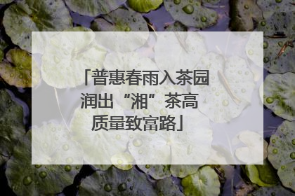 普惠春雨入茶园 润出“湘”茶高质量致富路