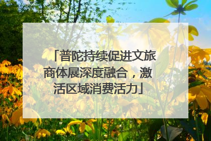 普陀持续促进文旅商体展深度融合，激活区域消费活力