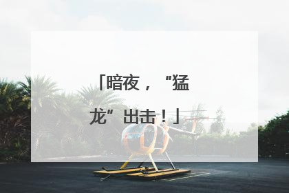 暗夜，“猛龙”出击！