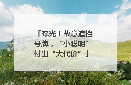 曝光！故意遮挡号牌，“小聪明”付出“大代价”