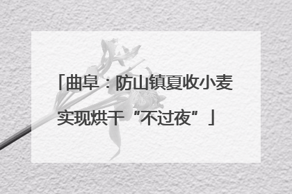 曲阜：防山镇夏收小麦实现烘干“不过夜”