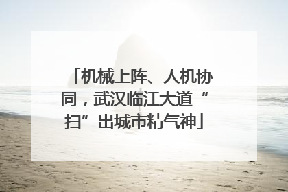 机械上阵、人机协同，武汉临江大道“扫”出城市精气神