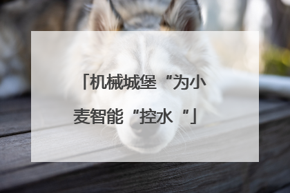 机械城堡“为小麦智能“控水“