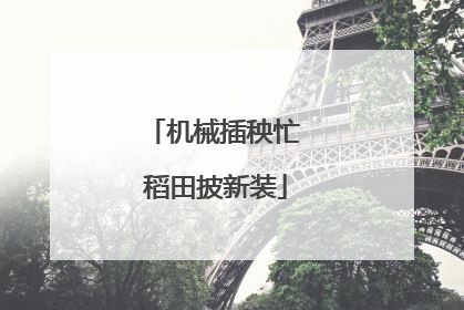机械插秧忙 稻田披新装