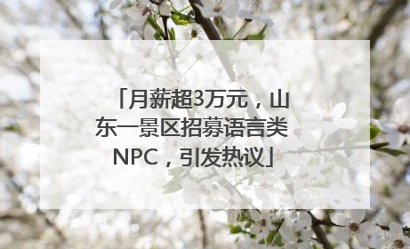 月薪超3万元，山东一景区招募语言类NPC，引发热议