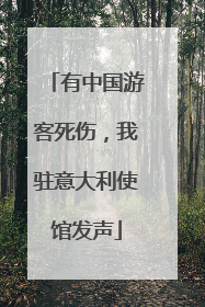 有中国游客死伤，我驻意大利使馆发声