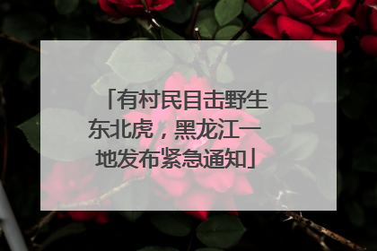 有村民目击野生东北虎，黑龙江一地发布紧急通知