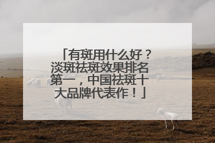 有斑用什么好？淡斑祛斑效果排名第一，中国祛斑十大品牌代表作！