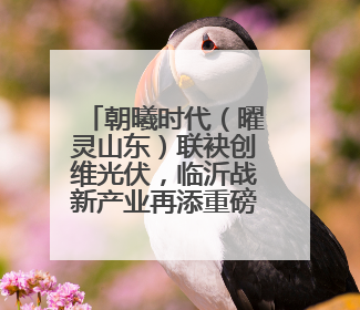 朝曦时代（曜灵山东）联袂创维光伏，临沂战新产业再添重磅合作