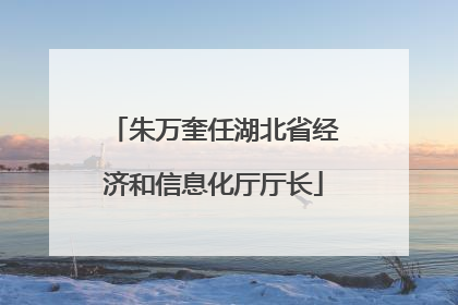 朱万奎任湖北省经济和信息化厅厅长