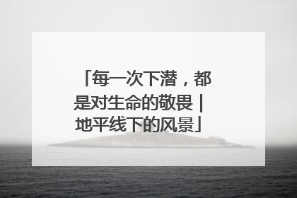 每一次下潜，都是对生命的敬畏｜地平线下的风景